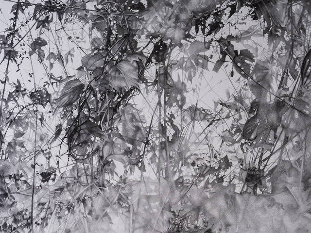 Grafiettekening op papier