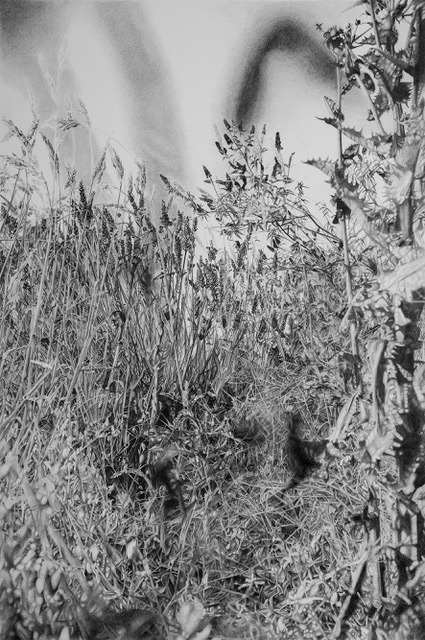 Grafiettekening op papier